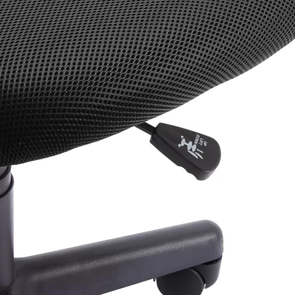 Amazon Basics LowBack Computer Task Office Desk Chair with Swivel Casters 2125D x 225W x 38H BlueBlack
