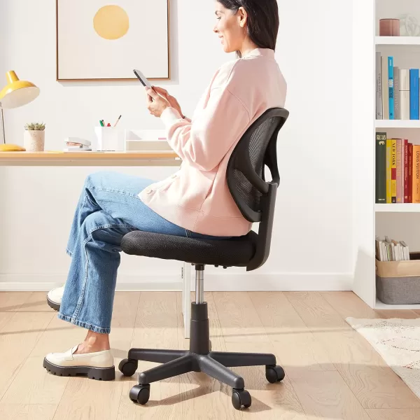 Amazon Basics LowBack Computer Task Office Desk Chair with Swivel Casters 2125D x 225W x 38H BlueBlack