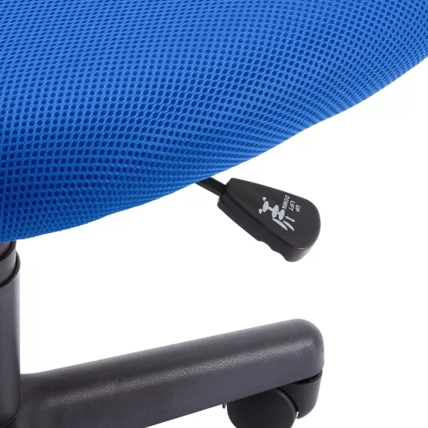 Amazon Basics LowBack Computer Task Office Desk Chair with Swivel Casters 2125D x 225W x 38H BlueBlue