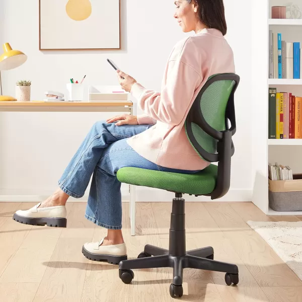 Amazon Basics LowBack Computer Task Office Desk Chair with Swivel Casters 2125D x 225W x 38H BlueGreen