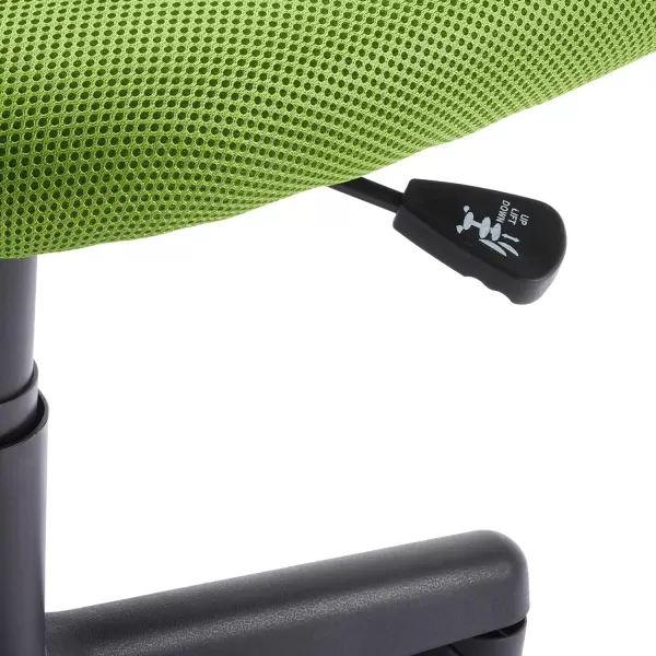 Amazon Basics LowBack Computer Task Office Desk Chair with Swivel Casters 2125D x 225W x 38H BlueGreen