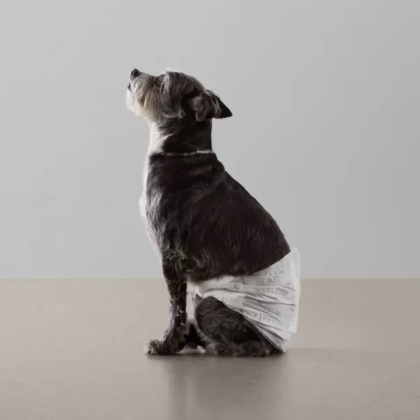 Amazon Basics Male Dog Wrap Disposable Diapers XSmall Pack of 30 WhiteSmall