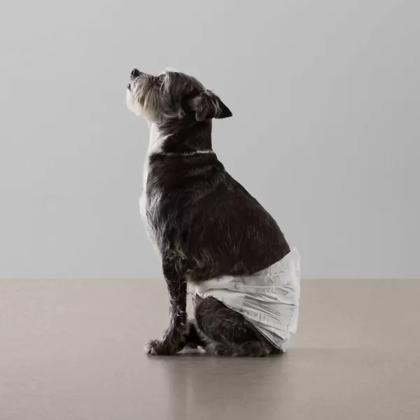 Amazon Basics Male Dog Wrap Disposable Diapers XSmall Pack of 30 WhiteSmall Pack of 50