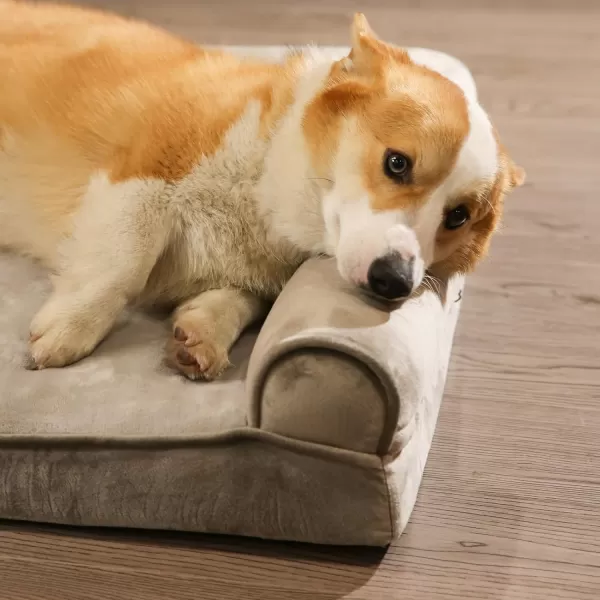 Amazon Basics Orthopedic Foam Living Room Couch Dog Pet Bed with Removable Cover 30 x 20 x 625Egg Crate Foam Medium