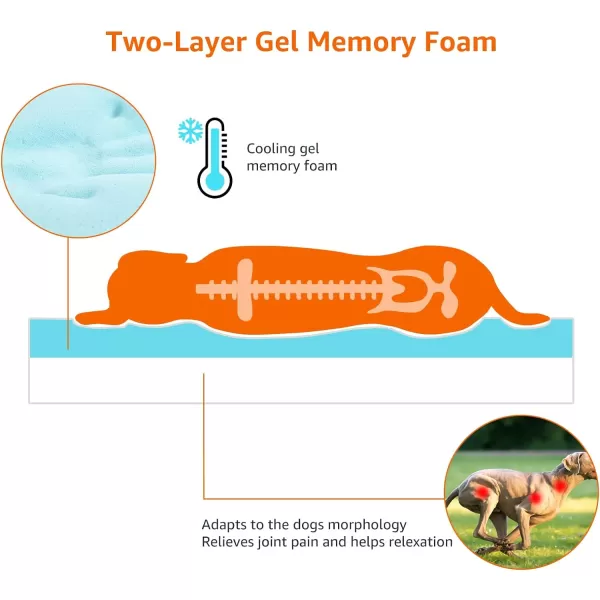 Amazon Basics Orthopedic Foam Living Room Couch Dog Pet Bed with Removable Cover 30 x 20 x 625Gel Foam 350L x 220W x 30Th