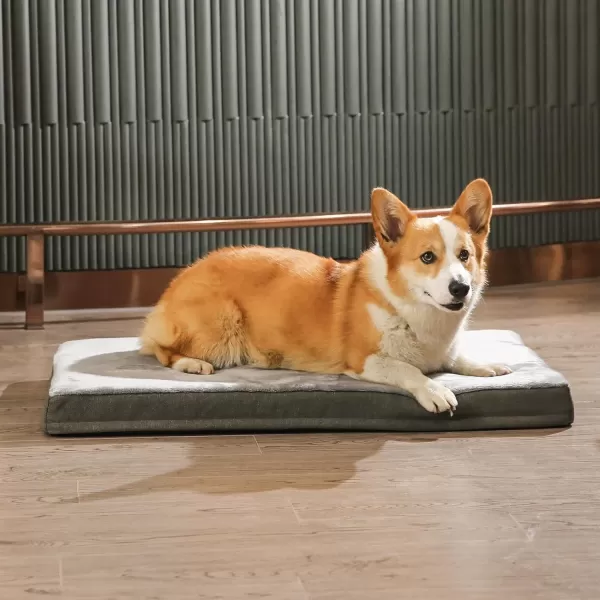 Amazon Basics Orthopedic Foam Living Room Couch Dog Pet Bed with Removable Cover 30 x 20 x 625Gel Foam 350L x 220W x 30Th