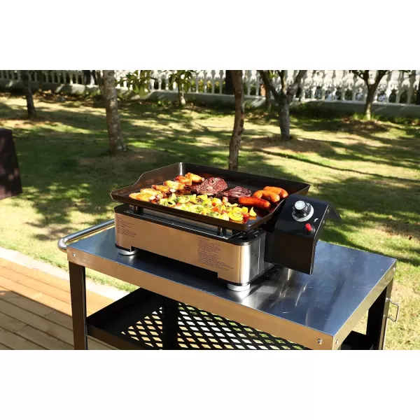 Amazon Basics Outdoor Portable One Burner Tabletop Gas Griddle with 18Inch Enamel Coated Griddle Top11Piece Stainless Steel Barbeque Grilling Tool Set with Carry BagAmazon Basics Outdoor Portable One Burner Tabletop Gas Griddle with 18Inch Enamel Coated Griddle Top11Piece Stainless Steel Barbeque Grilling Tool Set with Carry Bag