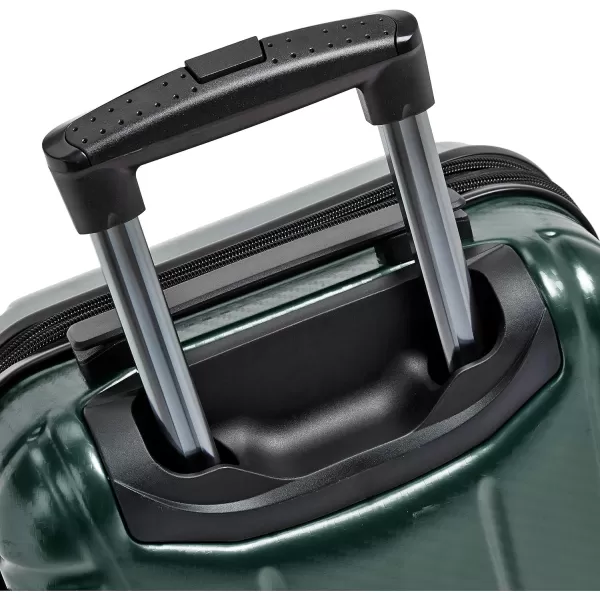 Amazon Basics Oxford Expandable Spinner Luggage Suitcase with TSA Lock  301 Inch BlackGreen 218Inch
