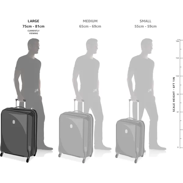 Amazon Basics Oxford Expandable Spinner Luggage Suitcase with TSA Lock  301 Inch BlackRed 301Inch