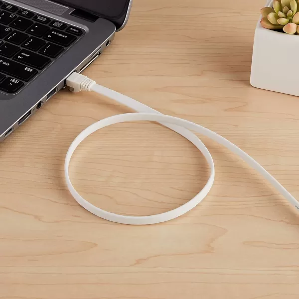 Amazon Basics RJ45 Cat 7 Ethernet Patch Cable Flat 600MHz Snagless Includes 15 Nails 30 Foot White30Foot White