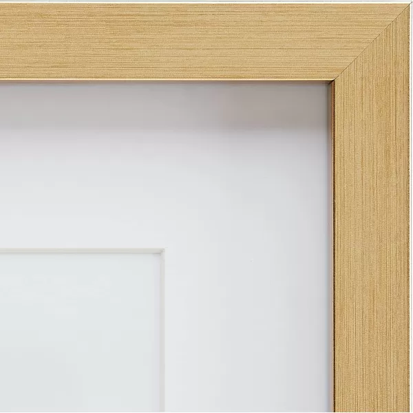 Amazon Basics Rectangular Photo Picture Frame 11 x 14 or 8 x 10 with mat Pack of 2 Gold 1228 x 1518 inches8 x 10 or 5 x 7 Gold