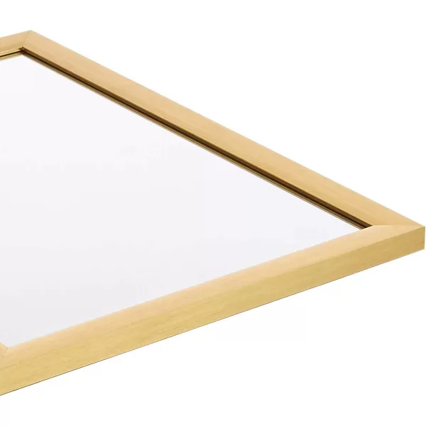 Amazon Basics Rectangular Wall Mount Mirror 24 x 36 Peaked Trim BlackBrass 20 x 28 Standard Trim Wall Mirror