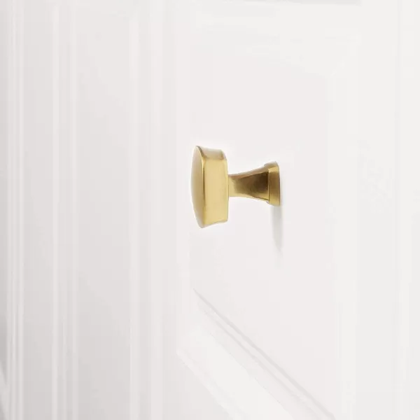 Amazon Basics Rounded Square Cabinet Knob 126inch Diameter Golden Champagne 10pack126 in Diameter 25 Pack Golden Champagne
