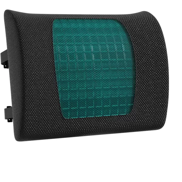 Amazon Basics Seat Cushion amp Lumbar Support Memory Foam Black 2PackBack Support Cushion Gel Memory Foam