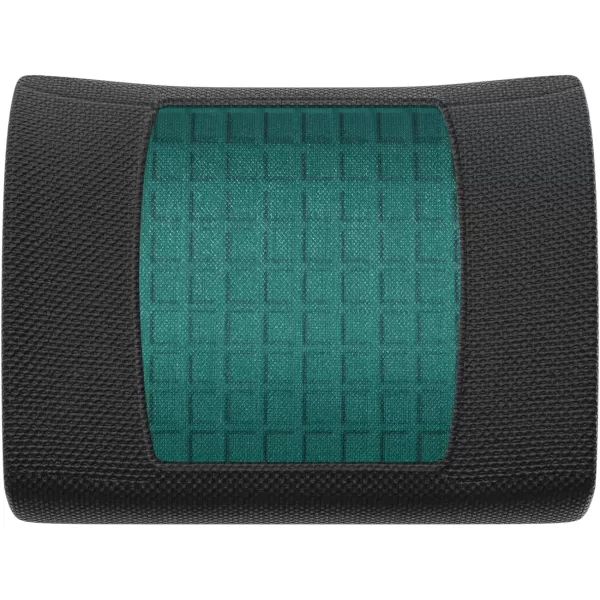Amazon Basics Seat Cushion amp Lumbar Support Memory Foam Black 2PackBack Support Cushion Gel Memory Foam
