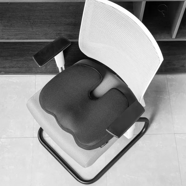 Amazon Basics Seat Cushion amp Lumbar Support Memory Foam Black 2PackSeat Cushion Memory Foam