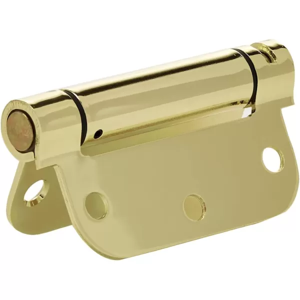 Amazon Basics SelfClosing Door Hinge 10 Piece Satin Nickel 35 Inch x 35 Inch1 Piece Polished Brass
