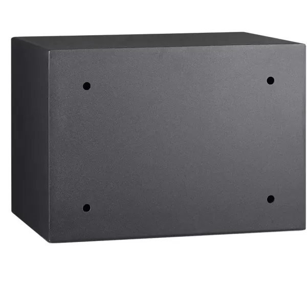 Amazon Basics Steel Home Security Electronic Safe with Programmable Keypad Lock Secure Documents Jewelry Valuables 12 Cubic Feet Black 13W x 13D x 142H05 Cubic Feet Fingerprint Lock