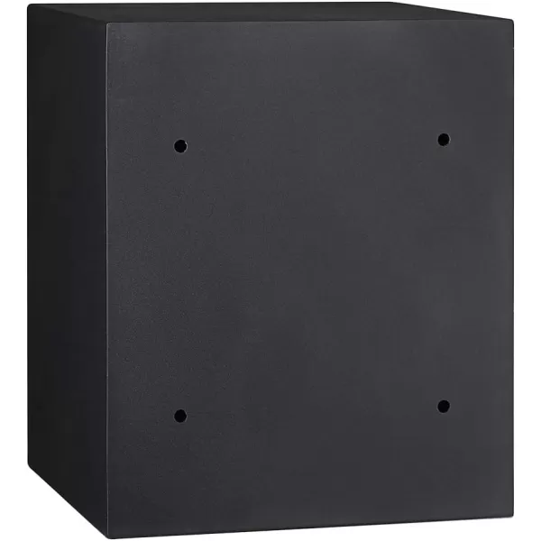 Amazon Basics Steel Home Security Electronic Safe with Programmable Keypad Lock Secure Documents Jewelry Valuables 12 Cubic Feet Black 13W x 13D x 142H152 Cubic Feet Fingerprint Lock