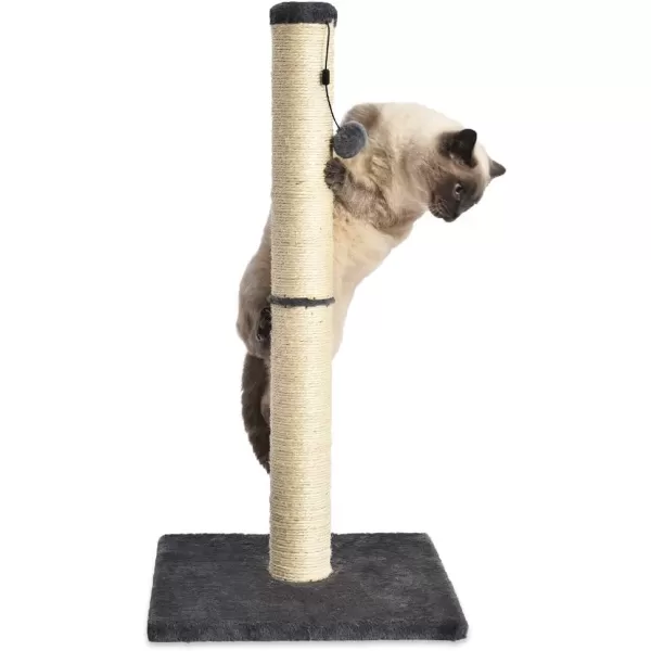 Amazon Basics Tall Cat Scratching Post with Jute Fiber and Brown Carpet Large 1575 L x 1575 W x 3543 HGrey Scratching Post