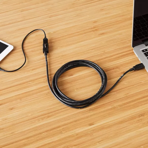 Amazon Basics USBA 20 Extension Cable Male to Female 480Mbps Transfer Speed 98 Foot Black65 Feet