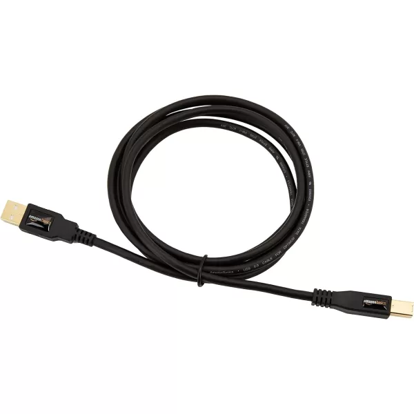 Amazon Basics USBA to USBB 20 Cable for Printer or External Hard Drive GoldPlated Connectors 6 Foot Black6 Feet
