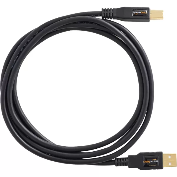 Amazon Basics USBA to USBB 20 Cable for Printer or External Hard Drive GoldPlated Connectors 6 Foot Black6 Feet