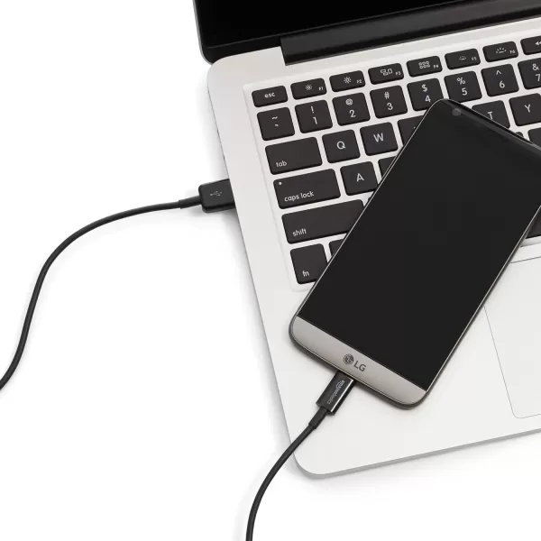 Amazon Basics USBC to USBA 20 Fast Charger Cable 480Mbps Speed USBIF Certified for Apple iPhone 15 iPad Samsung Galaxy Tablets Laptops 6 Foot BlackBlack 3 Feet 5Pack