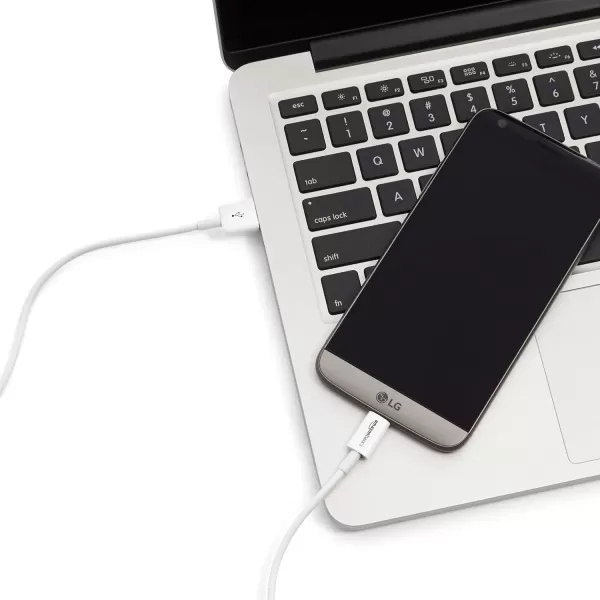 Amazon Basics USBC to USBA 20 Fast Charger Cable 480Mbps Speed USBIF Certified for Apple iPhone 15 iPad Samsung Galaxy Tablets Laptops 6 Foot BlackWhite 3 Feet 1Pack