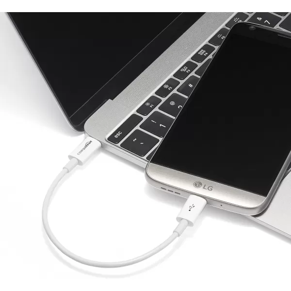 Amazon Basics USBC to USBC 20 Fast Charger Cable 480Mbps Speed USBIF Certified for Apple iPhone 15 iPad Samsung Galaxy Tablets Laptops 6 Foot WhiteWhite 1 foot 1Pack