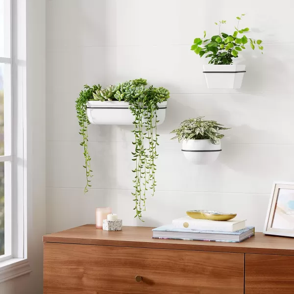 Amazon Basics Wall Planter Oval  WhiteBlackWhiteBlack