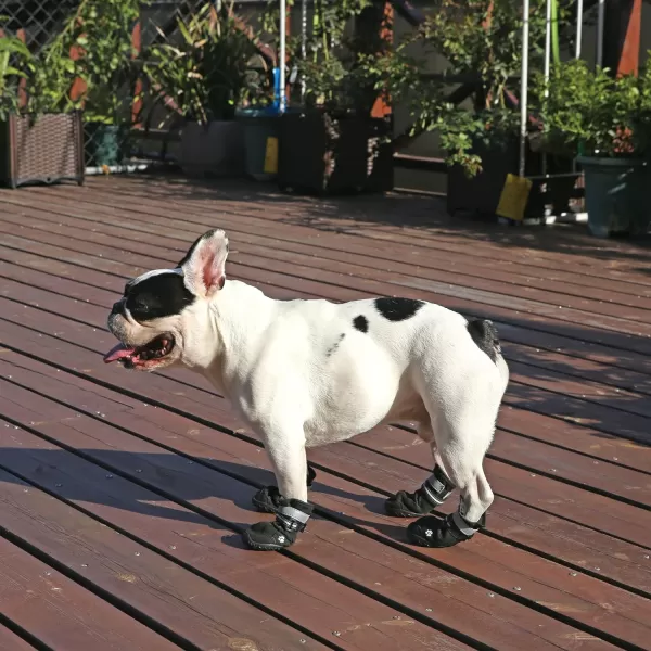 Amazon Basics Waterproof AntiSlip Reflective Dog Boots Size 3  20 x 25Size 5  24 x 29