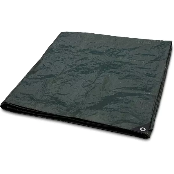 Amazon Basics Waterproof Camping Tarp8 Ft X 10 Ft