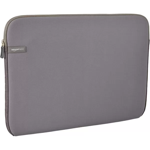 Gray 17.3 Inch 1-Pack