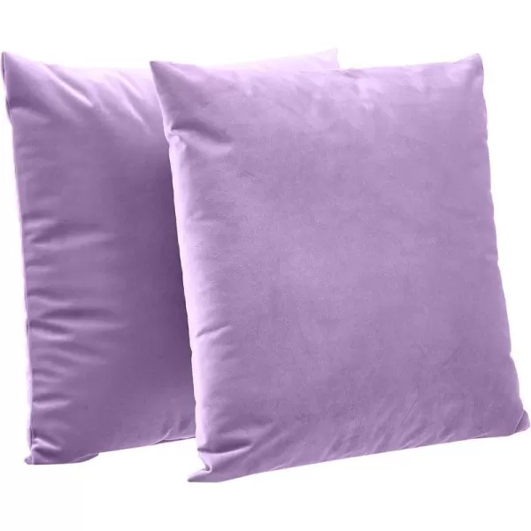 Violet Fog Velvet 2-Pack