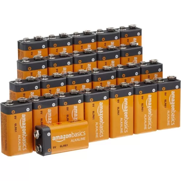 Amazon Basics 4Pack 9 Volt Alkaline Performance AllPurpose Batteries 5Year Shelf Life Packaging May Vary24 Count Pack of 1