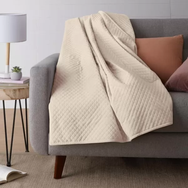 Beige Twin (48 in x 72 in) Blanket Cover