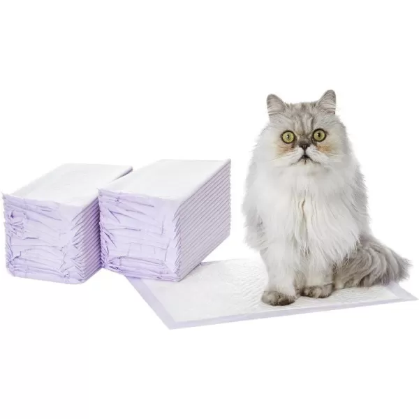 Amazon Basics Cat Pad Refills for Litter Box Unscented Pack of 40 PurpleLemon 40 Count Pack of 1