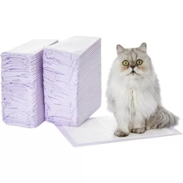 Amazon Basics Cat Pad Refills for Litter Box Unscented Pack of 40 PurpleLemon 80 Count Pack of 1