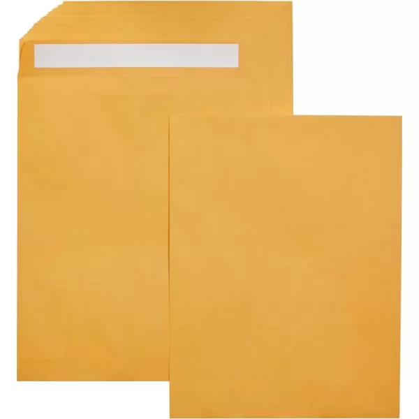 100-Pack 10 x 13 Envelopes
