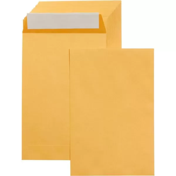 Amazon Basics Catalog Mailing Envelopes Peel amp Seal 10x13 Inch Brown Kraft 250Pack100Pack 6 x 9 Envelopes