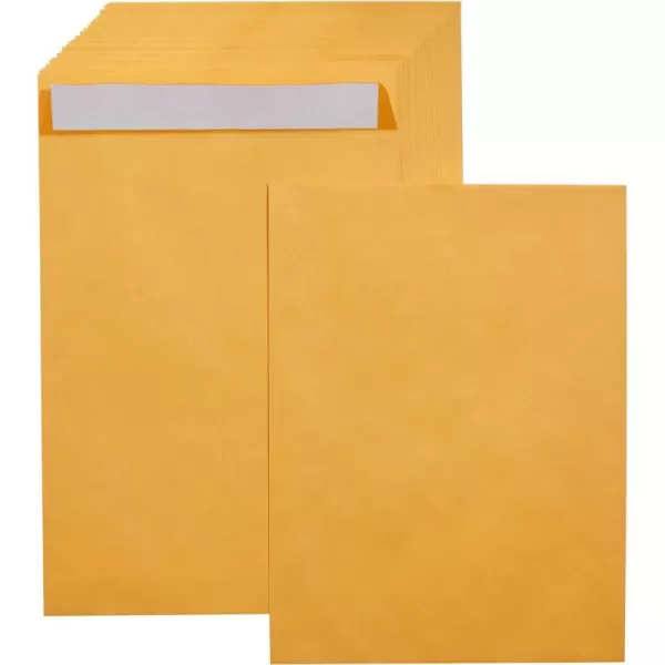 100-Pack 9 x 12 Envelopes