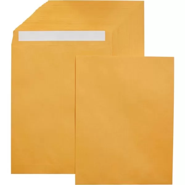 250-Pack 10 x 13 Envelopes