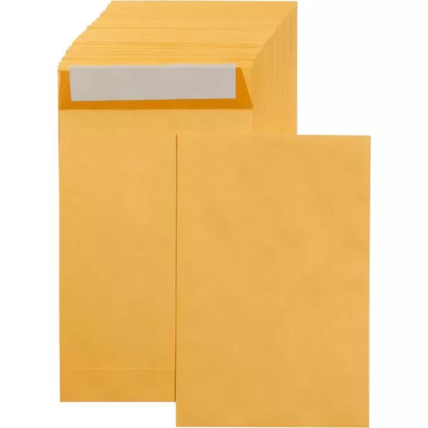 250-Pack 6 x 9 Envelopes