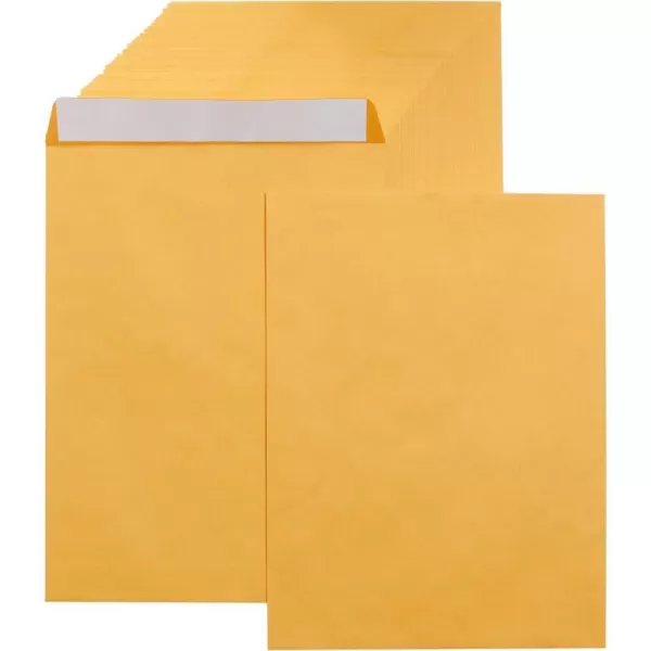 250-Pack 9 x 12 Envelopes