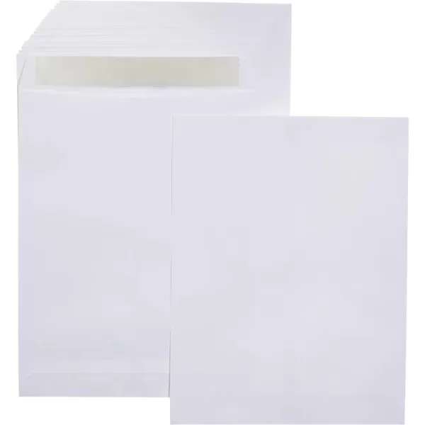 Amazon Basics Catalog Mailing Envelopes Peel amp Seal 9x12 Inch White 250Pack100Pack 10 x 13 Envelopes