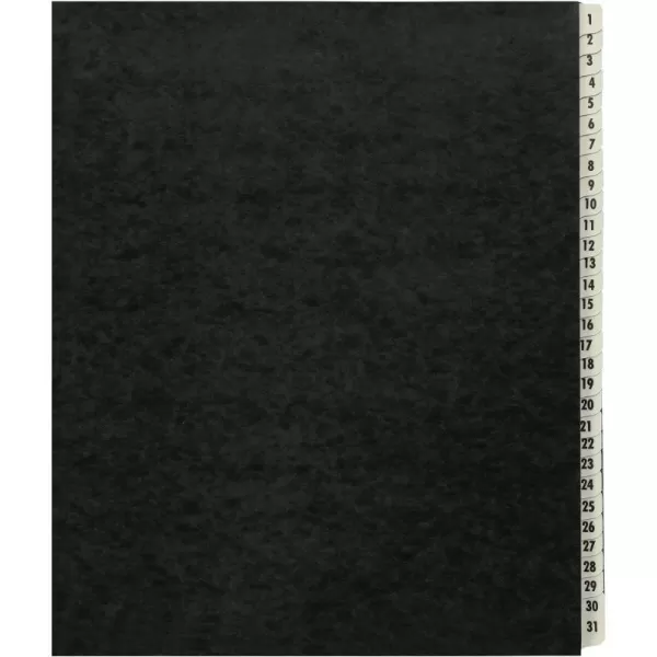 Amazon Basics Daily amp Monthly Desk File Sorter Letter Size BlackDaily 131