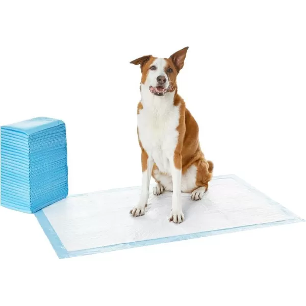 Amazon Basics Dog and Puppy Pee Pads with 5Layer LeakProof Design and QuickDry Surface for Potty Training Regular 22 x 22 Inch Scented  Pack of 100Heavy Duty Giant 30 Count