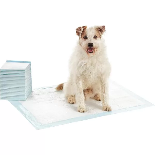 Amazon Basics Dog and Puppy Pee Pads with 5Layer LeakProof Design and QuickDry Surface for Potty Training Regular 22 x 22 Inch Scented  Pack of 100Heavy Duty XLarge 25 Count