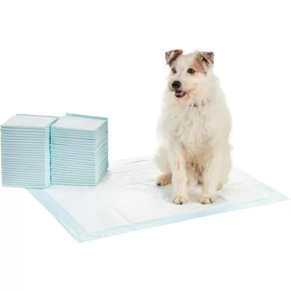 Amazon Basics Dog and Puppy Pee Pads with 5Layer LeakProof Design and QuickDry Surface for Potty Training Regular 22 x 22 Inch Scented  Pack of 100Heavy Duty XLarge 50 Count